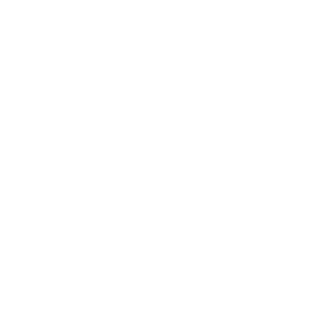 Logo Skoda Service